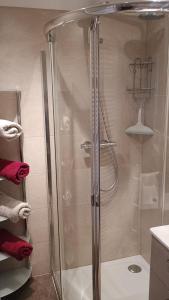 a shower with a glass door in a bathroom at Ferienwohnung Gräßl - Almzeit in Preitenegg +19 photos