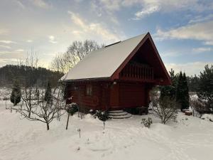 a large wooden cabin in the snow with trees at Norieši in Vangaži
