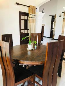 een eettafel met een potplant erop bij Villa insy in Galle