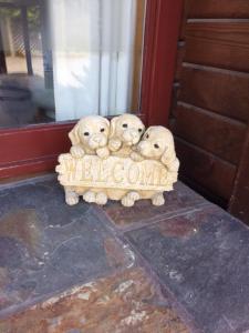 a group of three stuffed dogs sitting on the floor at Travellers Retreat B&B in Christchurch