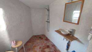 a bathroom with a shower and a sink and a mirror at La Ferme du Papillon in Pougne-Hérisson