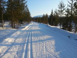 Pyhän Kortepuolukka v zimě