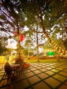 un tavolo e delle sedie sotto un albero con luci di Athirappilly Rainland Resort a Athirappilly