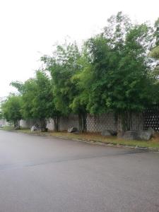 صورة لـ E-Home Kulai في كولايْ