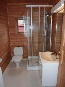 a bathroom with a toilet and a shower and a sink at Langenuen Motel & Camping in Stord +84 photos