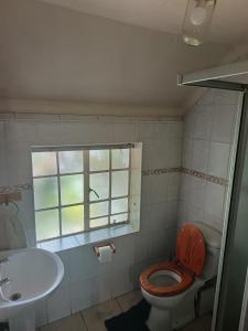 a bathroom with a toilet and a sink and a window at Do Drop In in Hoedspruit +16 photos
