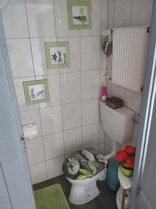 een kleine badkamer met toilet en wastafel bij Ferienhaus Scheper in Bad Frankenhausen +20 foto's