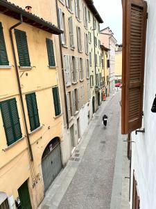 a cat walking down a street next to buildings at Accogliente appartamento in centro Brescia in Brescia