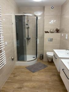 un bagno con doccia e WC di KAJA Zawoja a Zawoja