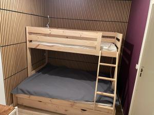 a bunk bed with a ladder in a room at Rez de jardin CABOURG in Cabourg