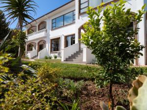 a house with a palm tree in front of it at 5 Rembrandt Guesthouse in Somerset West