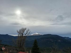 ein schneebedeckter Berg in der Ferne mit einem Baum in der Unterkunft Ξενώνας Αστερωδή in Synikia Mesi Trikalon + 11 Fotos