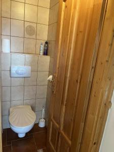 a bathroom with a toilet and a wooden door at Tölgyfa Apartman in Balatonkeresztúr