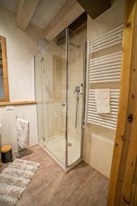 a glass shower stall in a bathroom with a rug at Le Vigne Incantate in Santa Maria di Feletto +13 photos