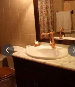 a bathroom with a sink and a toilet and a mirror at Habitació Doble Era de Ferro in Erill la Vall