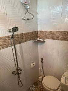 een kleine badkamer met toilet en douche bij Topaz Bed & Breakfast Hotel in San Jose