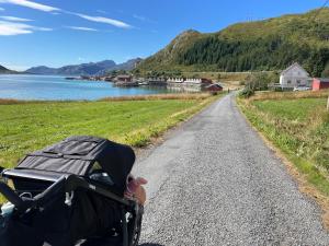 a stroller parked on a road next to a body of water at Lofoten Seaside House in Offersøya
