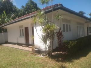 a white house with palm trees in front of it at Jayasri in Hikkaduwa