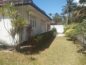 a house with palm trees in the yard at Jayasri in Hikkaduwa