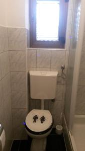 a bathroom with a toilet with two men on it at Apartment Irena in Jadranovo +29 photos