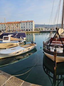 a group of boats docked in a harbor at Apartma Tuna in Izola