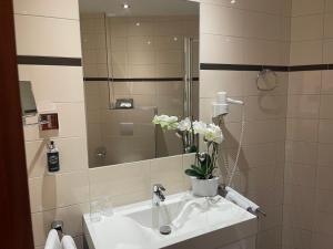 a bathroom with a sink with a mirror and flowers at In Piazza in Bad Klosterlausnitz +48 photos