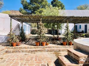 een pergola met potplanten op een patio bij Sister Alice in Nieu-Bethesda