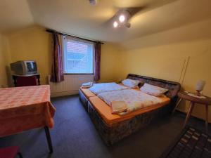 una camera da letto con un letto, una tv e una finestra di Gasthaus Rennsteig a Kurort Steinbach-Hallenberg