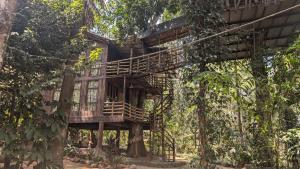 a tree house in the middle of the forest at Munnar Tree house and Farm in Munnar