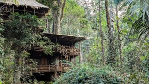 a tree house in the middle of a forest at Munnar Tree house and Farm in Munnar