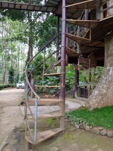a spiral staircase in a building next to a tree at Munnar Tree house and Farm in Munnar