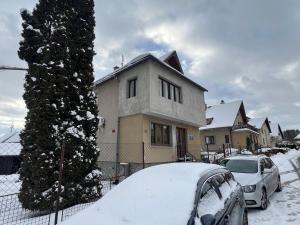 a house with cars parked in a snow covered yard at Apartmán Horal in Jilemnice