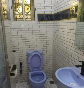 a bathroom with a blue toilet and a sink at Travel Lodge Apartment in Sagisa +15 photos