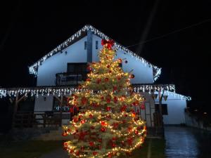 a christmas tree in front of a building with lights at Casa Alex in Oeşti-Pămînteni
