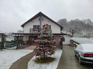 a christmas tree in front of a house at Casa Alex in Oeşti-Pămînteni