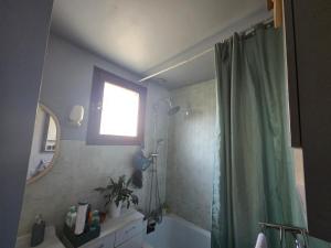a bathroom with a shower and a sink and a tub at The Private House in Paroy +20 photos