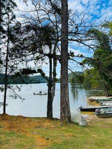 a group of boats on a lake with a tree at Encanto da Paz in Miracatu +66 photos