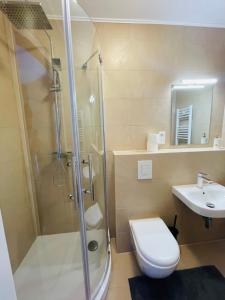 a bathroom with a shower and a toilet and a sink at Aparts4ring 10, Nürburg in Nürburg +19 photos