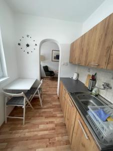 een keuken met een spoelbak en een aanrechtblad bij Malý apartmán na Šumavě in Horní Vltavice