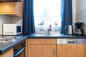 a kitchen with a sink and two birds in a window at Haus Roland, Wohnung 02 in Zinnowitz +13 photos