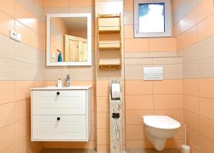 a bathroom with a toilet and a sink and a mirror at Chalupa U lípy in Horní Bělá +10 photos