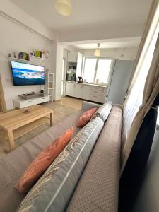 een woonkamer met een bank en een televisie bij Cozy 2Rooms in Popeşti-Leordeni