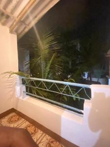 een raam in een kamer met een plant bij Messianic guest house in Arambol