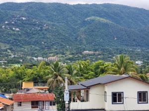Naturlandskabet i nærheden af lejligheden