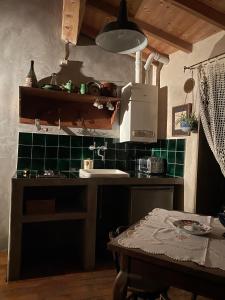 a kitchen with a sink and a green tiled wall at Via Col Tempo in Pigna +31 photos