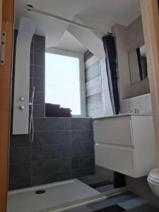 ein Badezimmer mit Dusche, Waschbecken und Toilette in der Unterkunft Studio petit cocon in Annonay