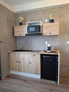 eine Küche mit Arbeitsfläche, Mikrowelle und Spüle in der Unterkunft Studio petit cocon in Annonay