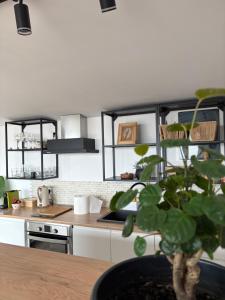 a kitchen with a table and a potted plant at Carsium View House in Hîrşova