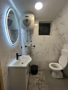 a bathroom with a toilet and a sink and a mirror at Cottage Soul Rest in Visoko