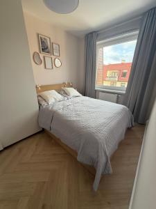 a bedroom with a bed and a large window at Apartament Przy Palmiarni in Wałbrzych